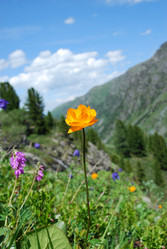 Similar image 728106