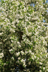 Similar image 728110