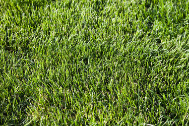 Similar image 728124