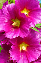 Similar image 728134