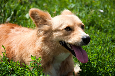 Similar image 728163