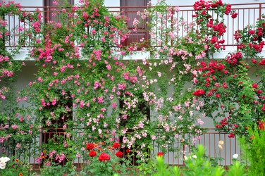 Similar image 728175