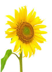 Similar image 728177