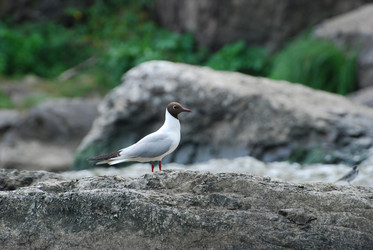 Similar image 728188