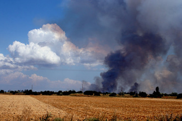 Similar image 728194