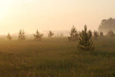 Similar image 728203