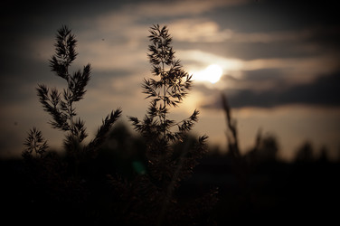 Similar image 728207