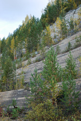 Similar image 728215