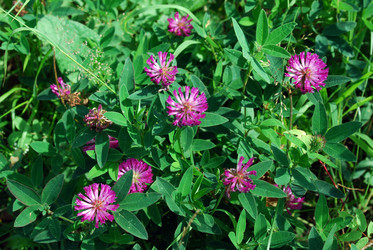 Similar image 728223