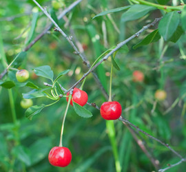 Similar image 728225