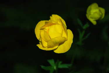 Similar image 728233