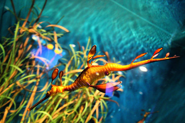 Similar image 728236