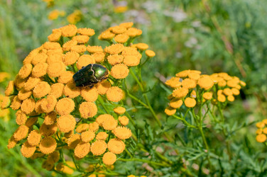 Similar image 728238