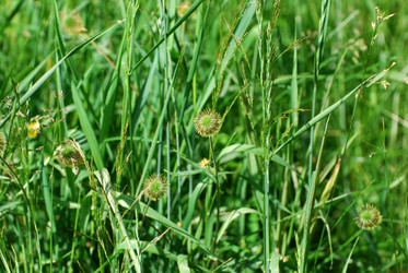 Similar image 728248