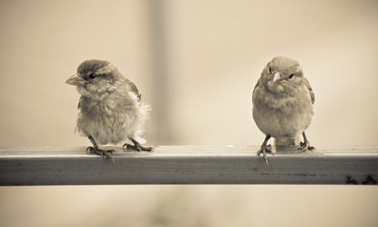 Similar image 728260