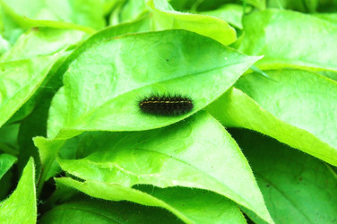 Similar image 728262