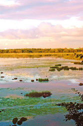 Similar image 728269