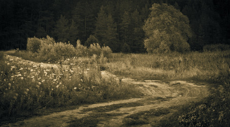 Similar image 728271