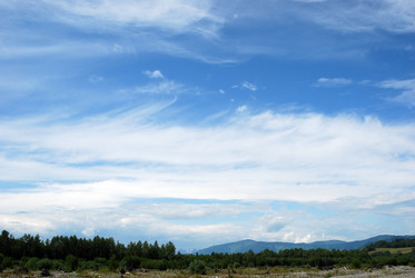 Similar image 728276