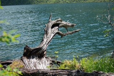 Similar image 728283