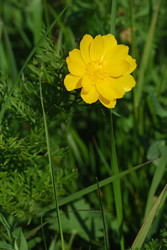 Similar image 728300