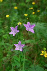 Similar image 728303