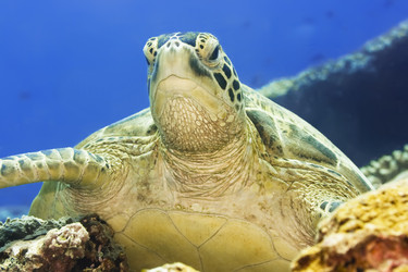 Similar image 728317