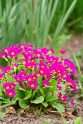 Similar image 728366