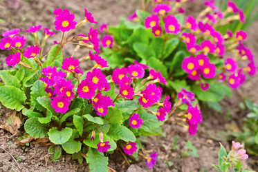 Similar image 728368