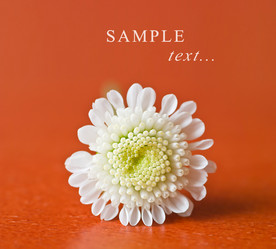 Similar image 728384