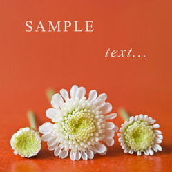 Similar image 728385