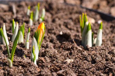 Similar image 728386