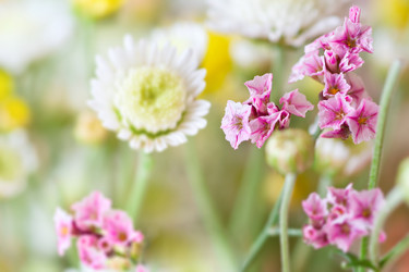 Similar image 728391