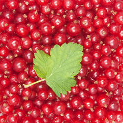 Similar image 728409