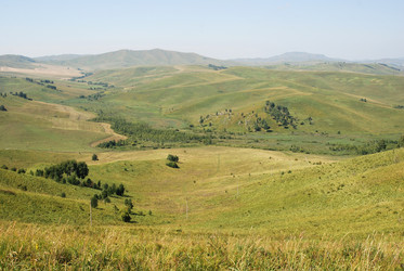 Similar image 728428