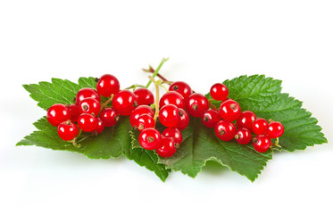 Similar image 728442