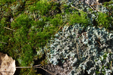 Similar image 728444