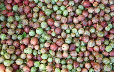 Similar image 728447