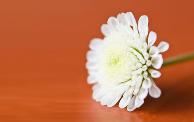 Similar image 728451