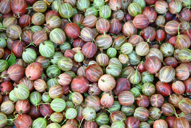 Similar image 728453