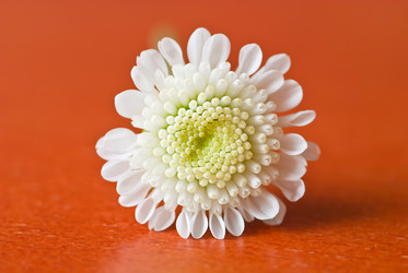 Similar image 728455