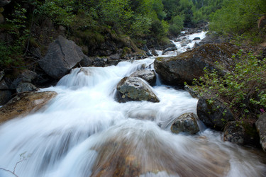 Similar image 728482