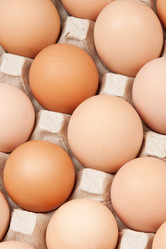 Similar image 728508