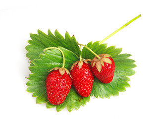 Similar image 728510