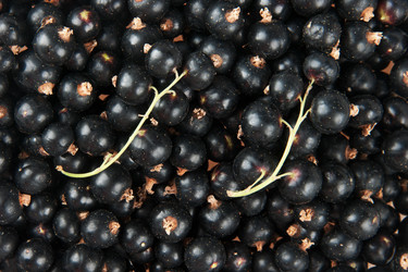 Similar image 728517