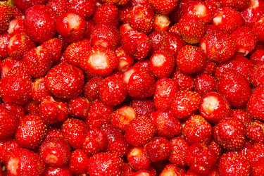 Similar image 728519