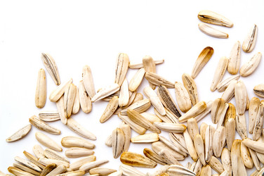 Similar image 728523