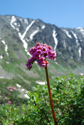 Similar image 728528