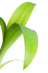 Similar image 728531