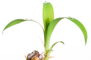 Similar image 728532